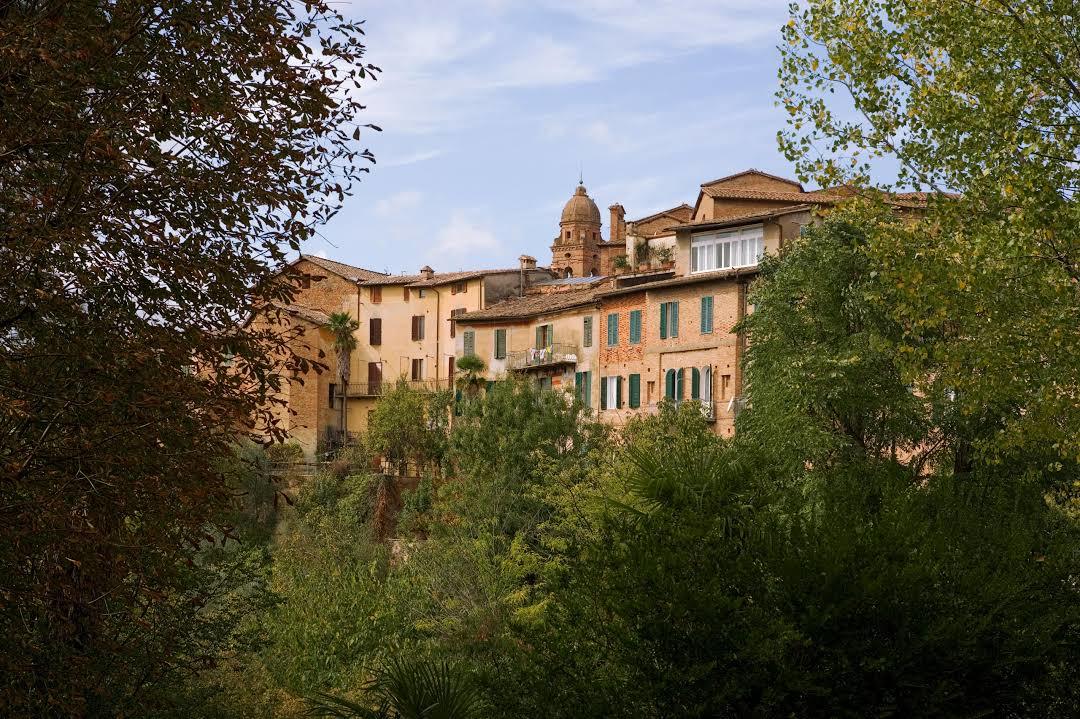 Botanical Garden of the University of Siena